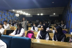 anti-bullying2