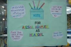slc-campaigns2