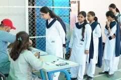 slc-elections4